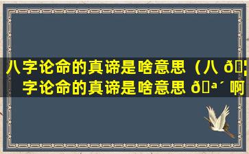 八字论命的真谛是啥意思（八 🦋 字论命的真谛是啥意思 🪴 啊）